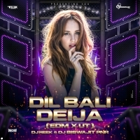 Dil Bali Dil Deija (Edm X UT Tapori) Dj Biswajit PNR X Dj Reek